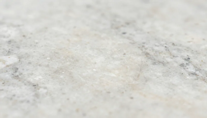 Sierra White granite texture